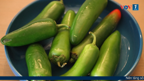 Lo ngại an toàn thực phẩm tại Mỹ gia tăng do ớt jalapeno nhiễm khuẩn Salmonella