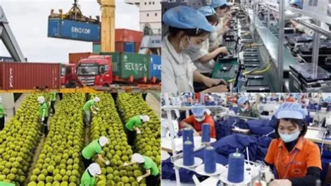 Chỉ số thống kê Kinh tế - xã hội 7 tháng 2026 có nhiều tín hiệu tích cực