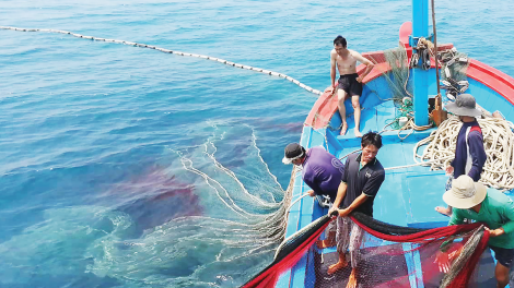 Nước rút gỡ “thẻ vàng” IUU, hướng tới nghề cá minh bạch, bền vững