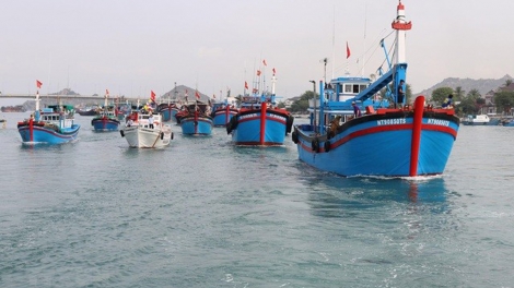 Gỡ “thẻ vàng” IUU, hướng tới nghề cá minh bạch, bền vững