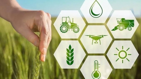 Đưa công nghệ và tư duy xanh vào sản xuất nông nghiệp