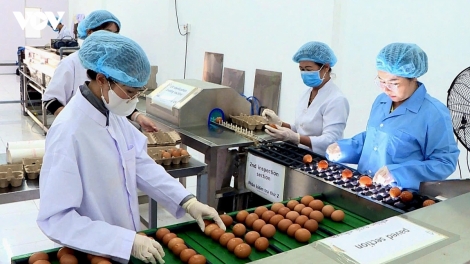 Nghị quyết 57 tạo sức bật tăng trưởng cho Lâm Đồng