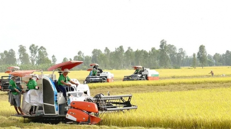 Kỳ tích xuất khẩu 70 tỷ USD: Dấu ấn chính sách nông nghiệp Việt Nam 40 năm đổi mới