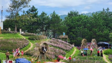 Theo dòng thời sự chiều 3/9/2026