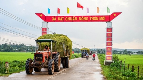 Nông nghiệp Thủ đô: Đánh thức giá trị mới từ mỗi vùng quê
