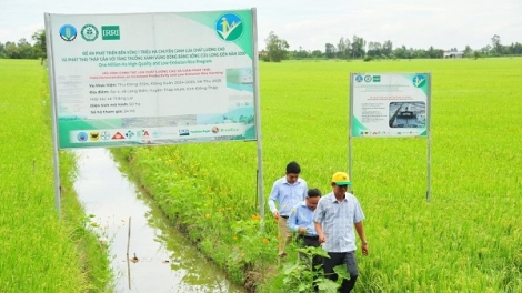 Canh tác tiết kiệm, nâng hiệu quả sản xuất