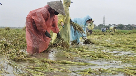 Đắk Lắk ghi nhận thiệt hại ban đầu do mưa lớn, sạt lở
