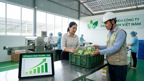 Đổi mới cách đánh giá tín dụng, khơi thông dòng vốn cho doanh nghiệp nhỏ và vừa