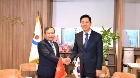 Hà Nội và Seoul thúc đẩy tăng cường hợp tác song phương chiến lược