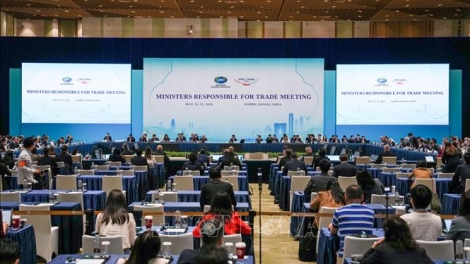 APEC ưu tiên thúc đẩy thương mại và đầu tư tự do mở và sáng kiến của Việt Nam