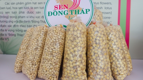 Sen Đồng Tháp – Từ biểu tượng văn hóa đến động lực phát triển