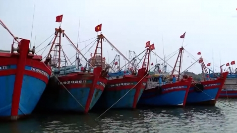 Cao điểm chống khai thác thủy sản bất hợp pháp tại Thanh Hóa: Siết chặt từ bờ ra khơi