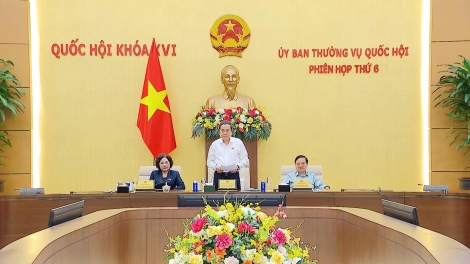 Tuyệt đối không được làm luật theo kiểu đối phó