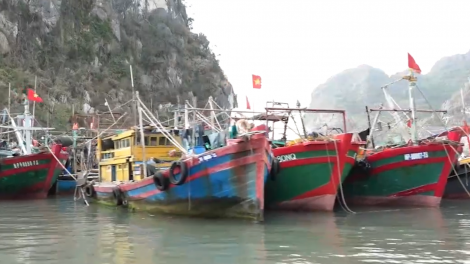 Quảng Ninh làm rõ 29/30 trường hợp tàu cá mất kết nối VMS