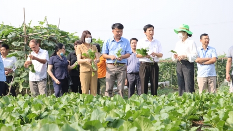 Hà Nội tăng cường kết nối doanh nghiệp với vùng sản xuất nông nghiệp