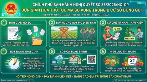 Mã số vùng trồng: Trao quyền đi cùng trách nhiệm