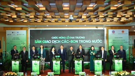 Thị trường các-bon Việt Nam: Cơ hội tham gia của doanh nghiệp và cộng đồng