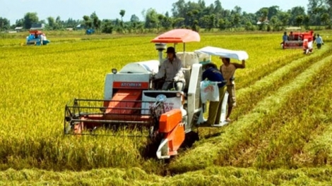 Khuyến nông Hà Nội đồng hành cùng nông dân phát triển sản xuất hiệu quả