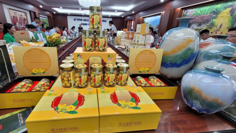 Hà Nội: Nâng tầm thương hiệu nông sản, gia tăng giá trị sản phẩm địa phương
