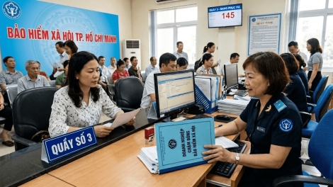 Thời sự 6h 17/9/2026: Gần 7.000 doanh nghiệp tại TP. Hồ Chí Minh chậm đóng bảo hiểm xã hội
