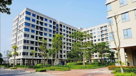 Thế chế hoá phát triển nhà ở cho thuê