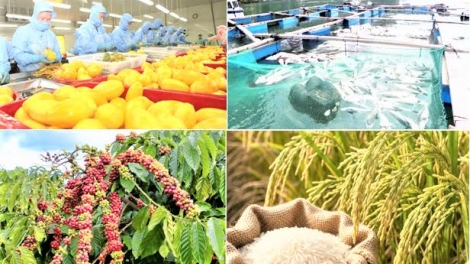 Thời sự 6h 29/9/2026: Nông nghiệp tăng tốc, hướng tới mốc xuất khẩu hơn 74 tỷ USD