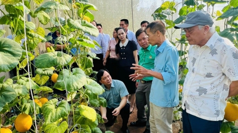 Hà Nội đưa chính sách nông nghiệp mới đến gần hơn với nông dân Thủ đô