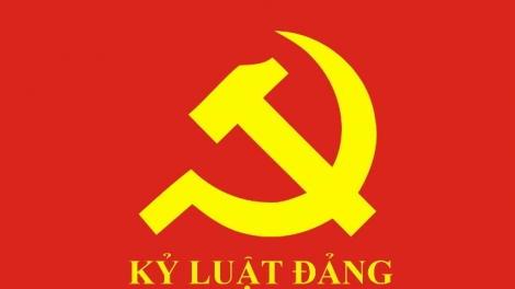 Ban Bí thư xem xét, thi hành kỷ luật đảng viên vi phạm
