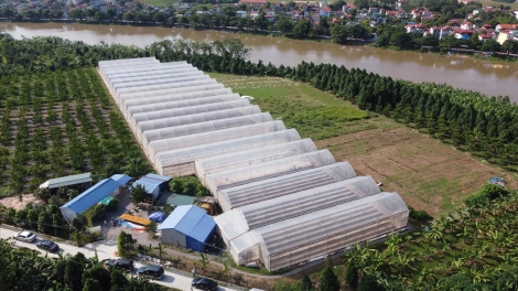 Hà Nội tăng cường quản lý tài nguyên, bảo vệ môi trường trong sản xuất nông nghiệp 