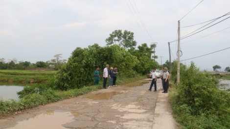 Bản tin 15h 19/9/2026