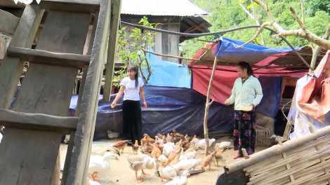 Xã Bum Nưa – Lai Châu hỗ trợ phụ nữ dân tộc thiểu số phát triển kinh tế