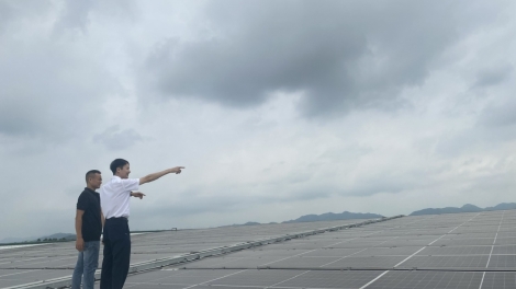 Việt Nam hướng tới Net Zero 2050: Điện mặt trời mái nhà và lời giải cho bài toán chuyển đổi xanh
