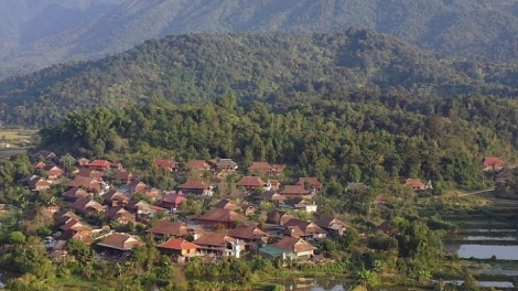 Giữ rừng bắt đầu từ sinh kế 