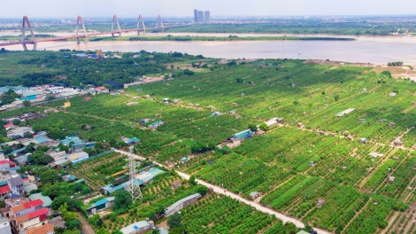 Nông nghiệp Hà Nội cụ thể hóa các nghị quyết chiến lược vào thực tiễn