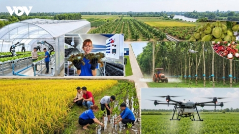 Phát triển hợp tác xã từ chủ trương chính sách đến thực tế sản xuất 
