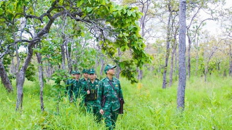 Theo dòng thời sự chiều 29/10/2026