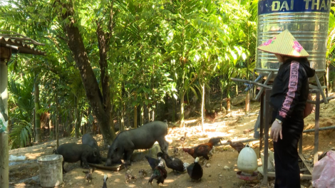 Đưa nguồn dòng vốn ưu đãi đến với đồng bào dân tộc khó khăn vùng cao Quảng Ngãi