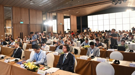 Phát triển cây keo bền vững và bài toán kinh tế cho hơn 1 triệu hộ dân