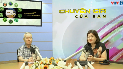 Bệnh hô hấp và những nguy cơ biến chứng khi thời tiết chuyển mùa