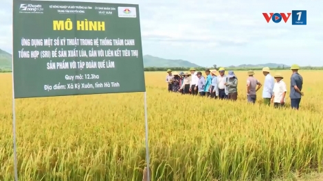 Hà Tĩnh "chuyển đổi kép" đưa khoa học, công nghệ vào sản xuất nông nghiệp