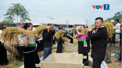 Theo dòng thời sự chiều 14/10/2026