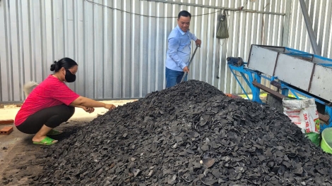 Biến gáo dừa thành sản phẩm xuất khẩu có giá trị