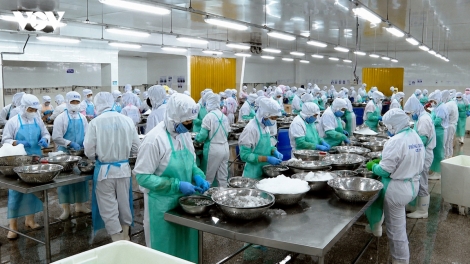 Từ APEC đến thị trường toàn cầu: Doanh nghiệp Việt tăng tốc đổi mới, vươn xa