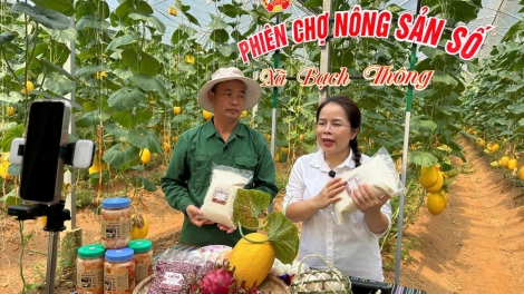 Nữ Bí thư xã “đứng sóng”, hơn 2.000 quả dưa lưới được đặt mua