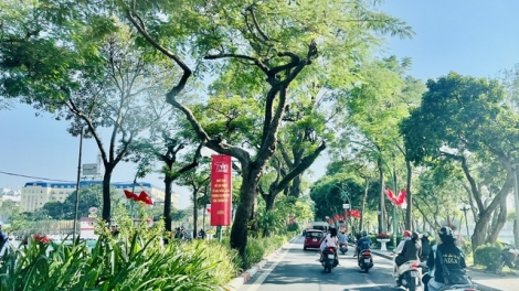 Hà Nội tăng cường quản lý tài nguyên, bảo vệ môi trường theo hướng xanh, bền vững