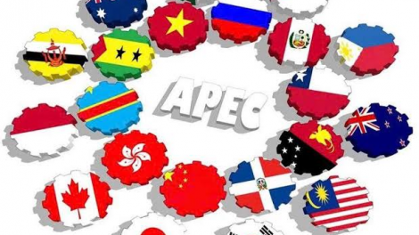 Việt Nam và hành trình cùng APEC