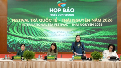 Thái Nguyên sẵn sàng đón du khách dự Festival Trà Quốc tế  năm 2026