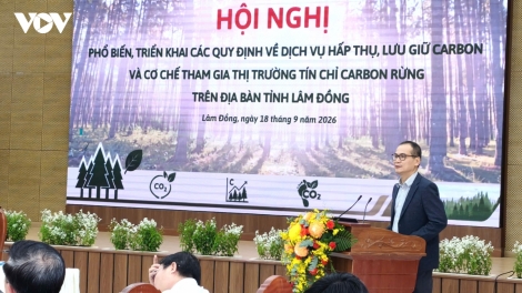 Lâm Đồng phát huy giá trị kinh tế rừng, mở hướng đi mới từ tín chỉ carbon