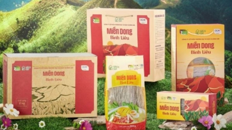 Miến dong Bình Liêu: nâng tầm đặc sản vùng cao từ lợi thế bản địa