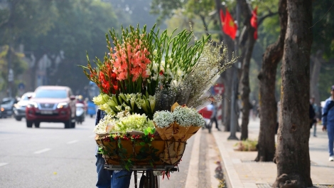 Dự báo thời tiết ngày 9/10: Bắc Bộ ngày nắng, Nam Bộ tiếp tục mưa dông
